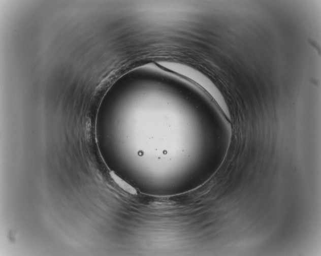 X0000103260556200808291220