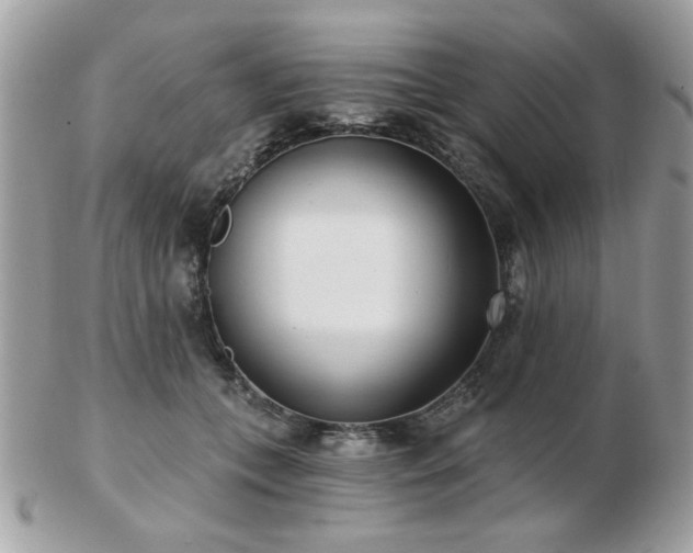 X0000103260559200808291220