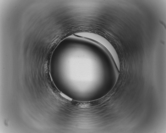 X0000103260560200808291220