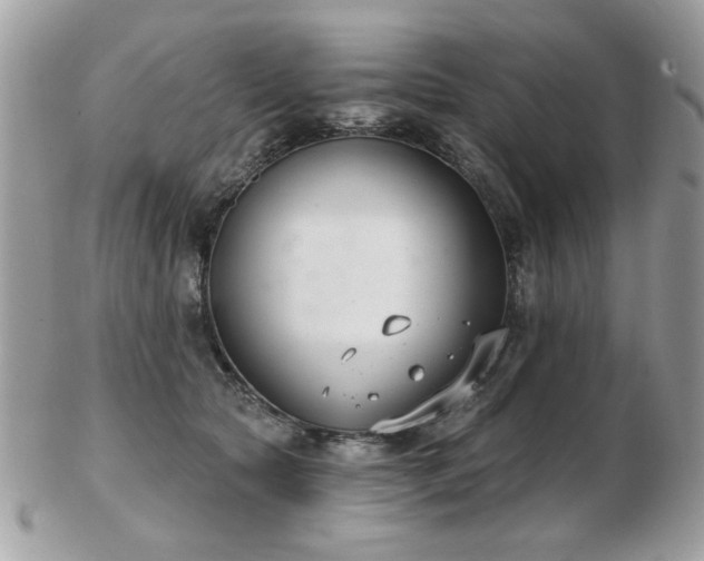 X0000103260561200808291220