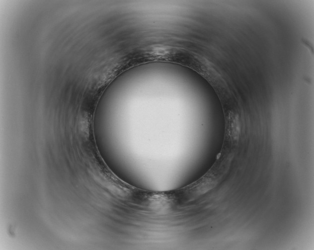 X0000103260562200808291220