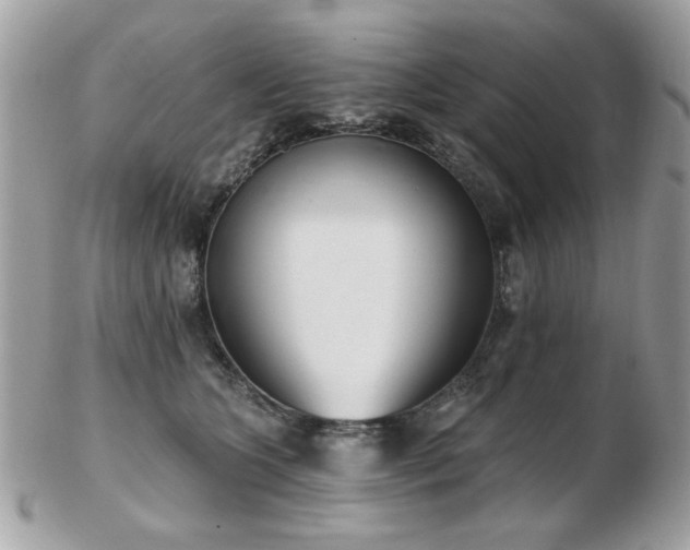 X0000103260563200808291220