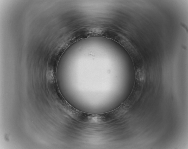 X0000103260564200808291220