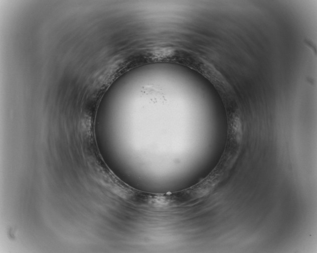 X0000103260565200808291220