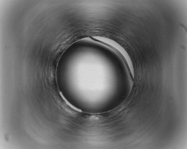 X0000103260566200808291220