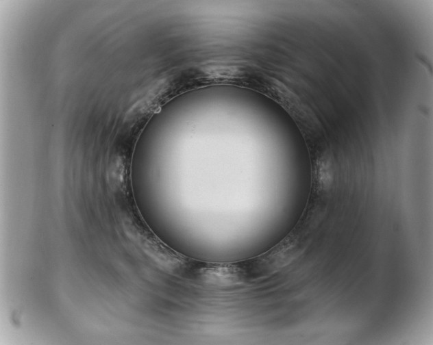 X0000103260567200808291220