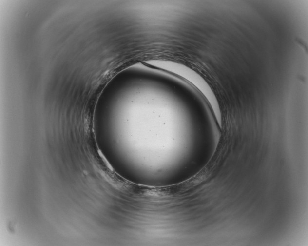 X0000103260568200808291220