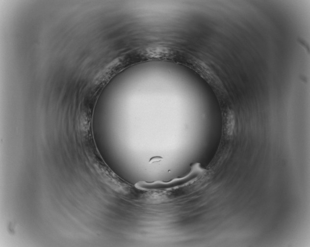 X0000103260569200808291220