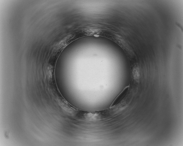 X0000103260570200808291220