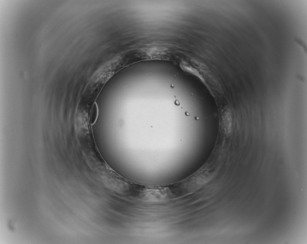 X0000103260571200808291220