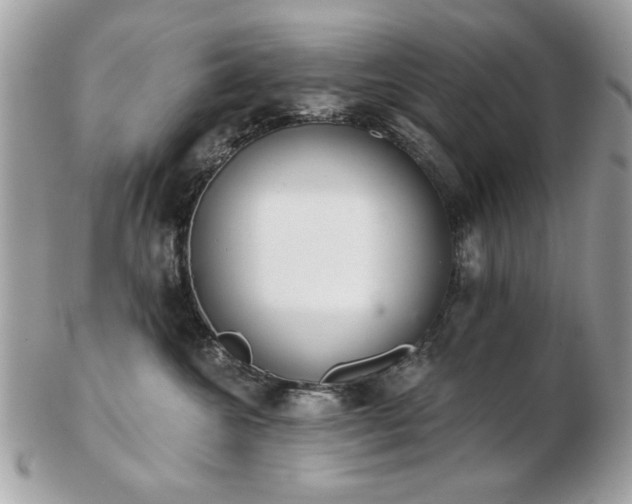 X0000103260572200808291220