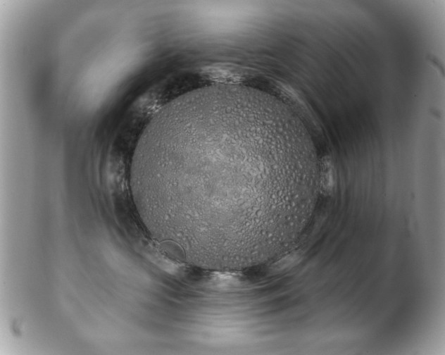 X0000103260573200808291220