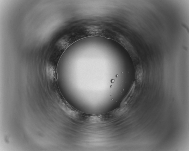 X0000103260574200808291220