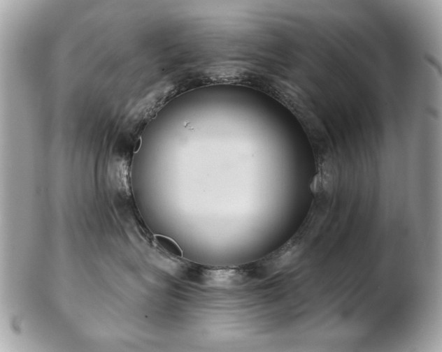 X0000103260575200808291220