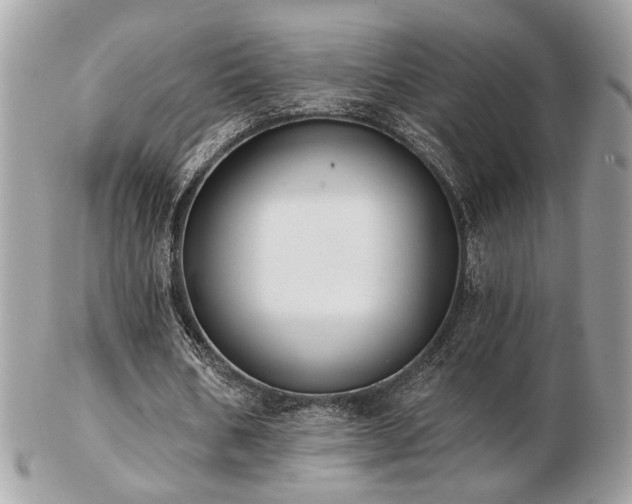 X0000103260578200808291220