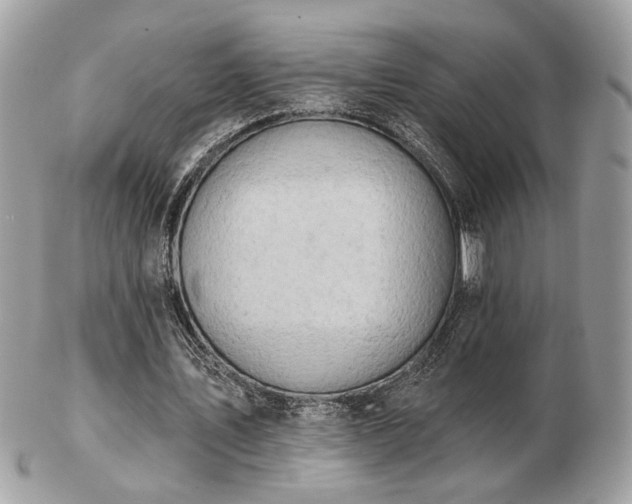 X0000103260579200808291220