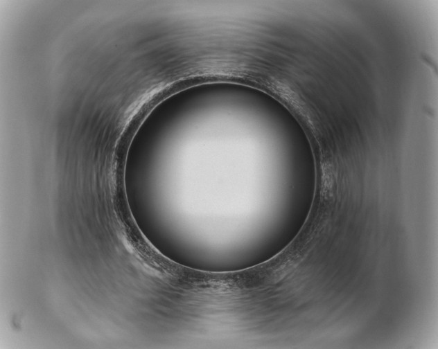 X0000103260580200808291220