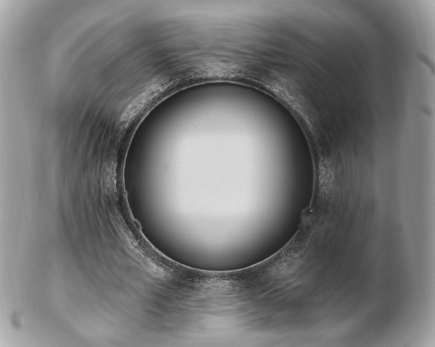 X0000103260581200808291220