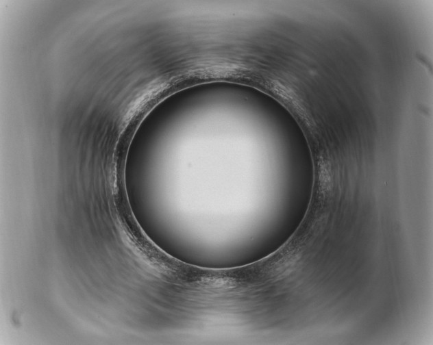 X0000103260582200808291220