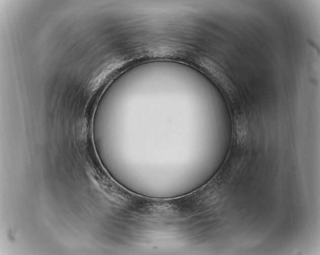 X0000103260583200808291220