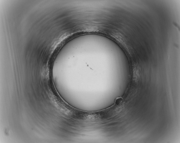 X0000103260584200808291220