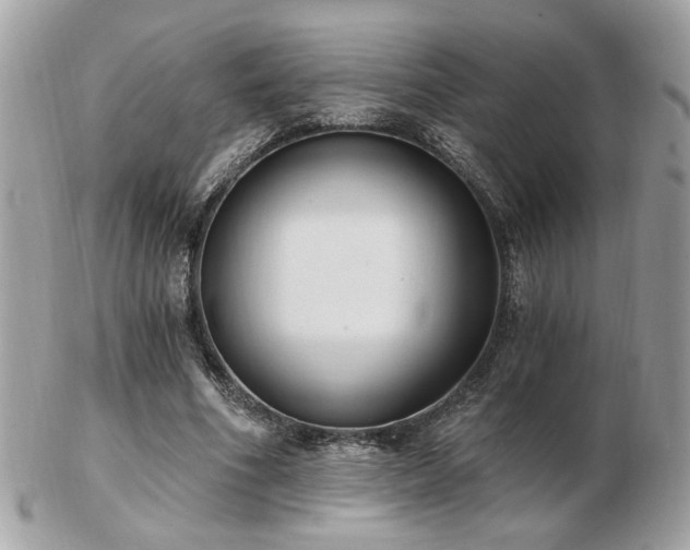 X0000103260586200808291220