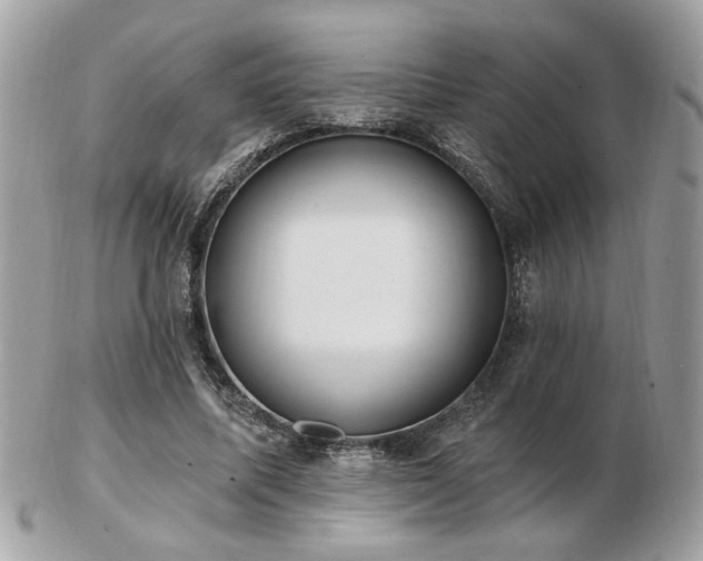 X0000103260587200808291220