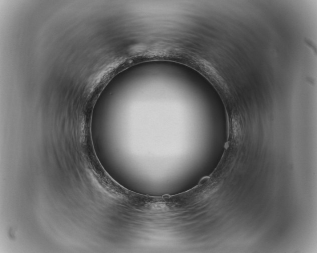 X0000103260588200808291220