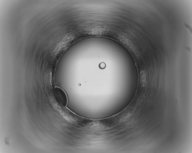 X0000103260589200808291220