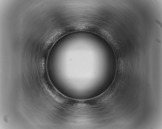 X0000103260590200808291220