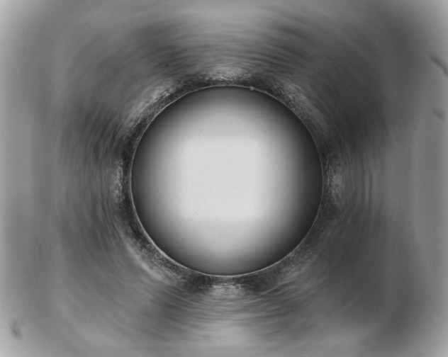 X0000103260591200808291220