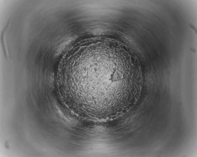 X0000103260592200808291220