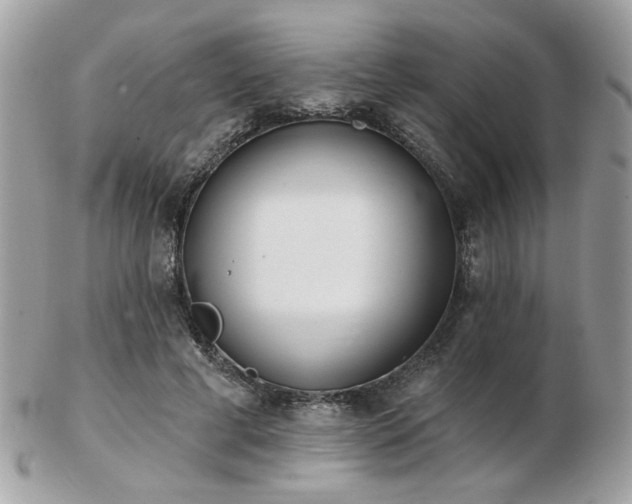 X0000103260593200808291220