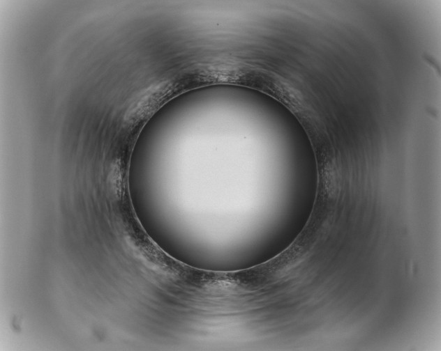 X0000103260594200808291220