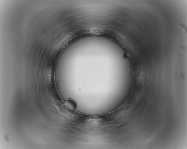 X0000103260595200808291220