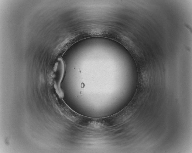 X0000103260596200808291220