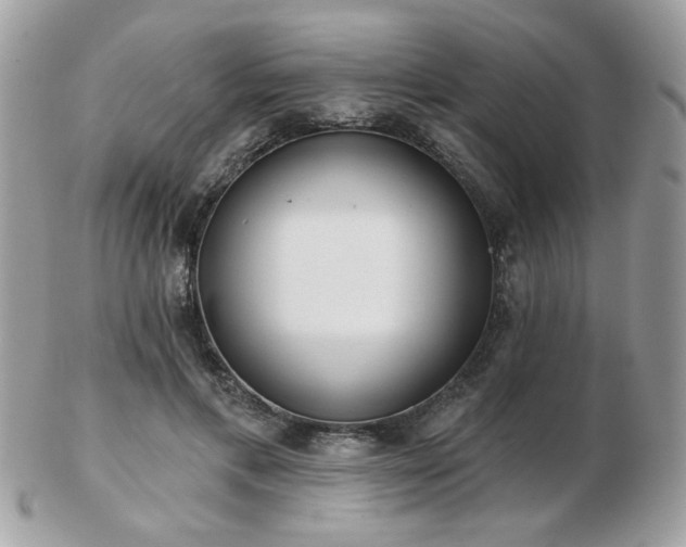 X0000103260597200808291220