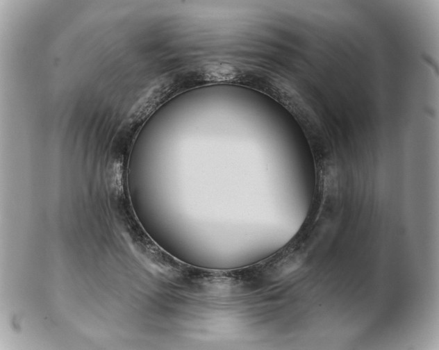 X0000103260598200808291220