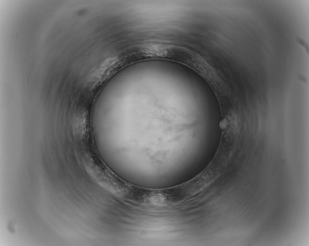 X0000103260600200808291220