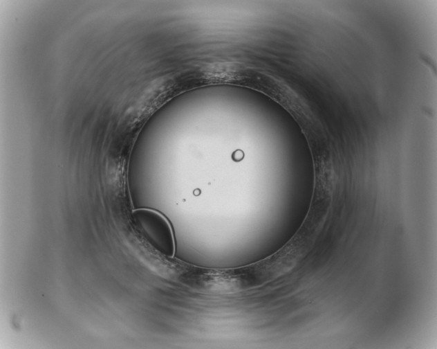 X0000103260601200808291220