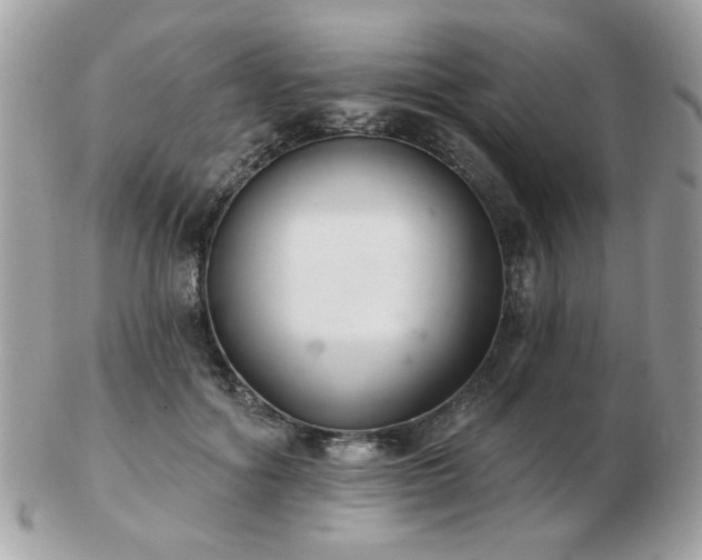 X0000103260602200808291219