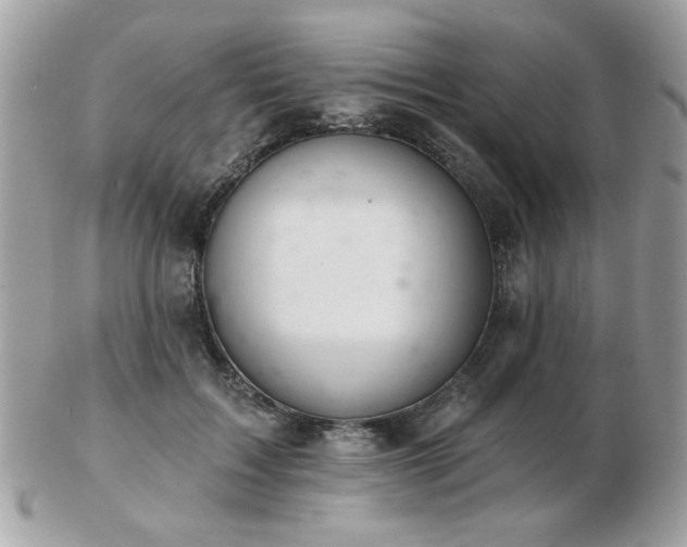 X0000103260603200808291219