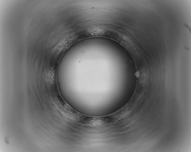 X0000103260604200808291219