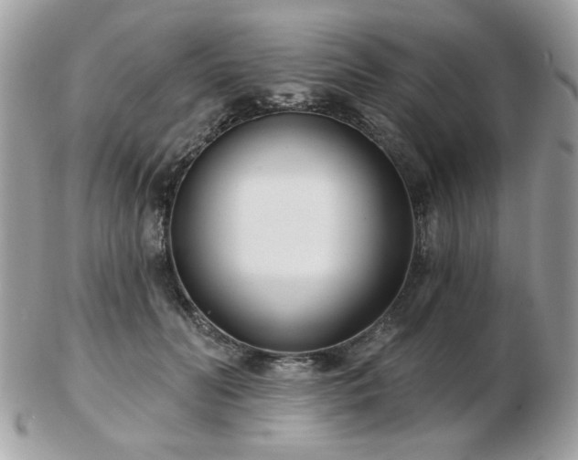 X0000103260606200808291219