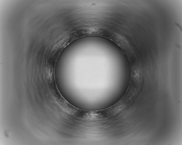 X0000103260607200808291219