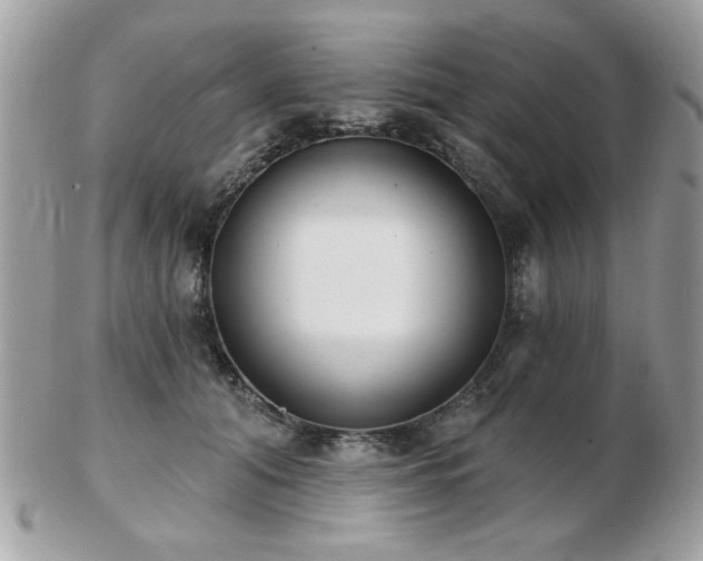 X0000103260608200808291219