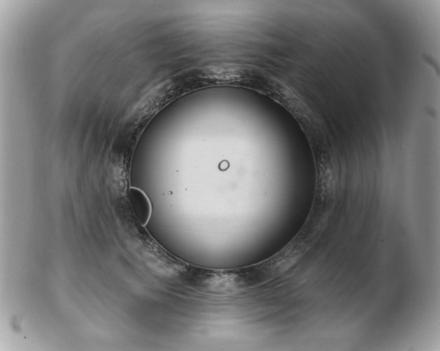 X0000103260609200808291219