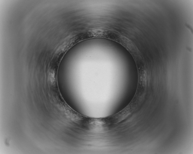 X0000103260610200808291219