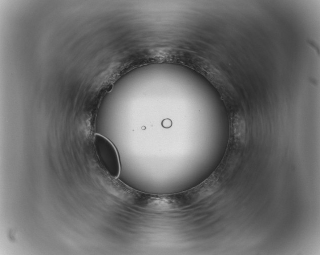 X0000103260611200808291219