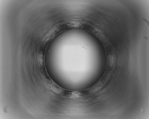 X0000103260612200808291219